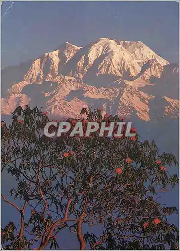 Cartes postales moderne Crystal Hotel Kathmandu Nepal