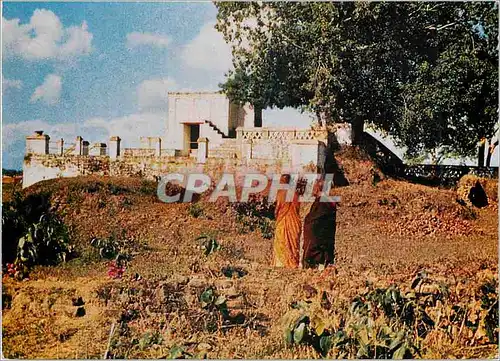 Cartes postales moderne Lumbini birthplace of Lord Buddha Nepal