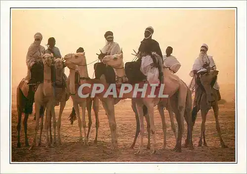 Cartes postales moderne Teguidda N Tessoumt La cure salee Niger