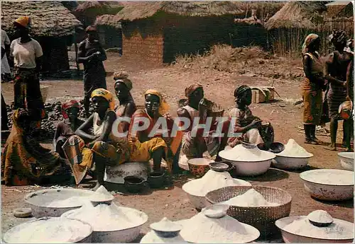 Cartes postales moderne Nigeria Market Scene Northern Nigeria