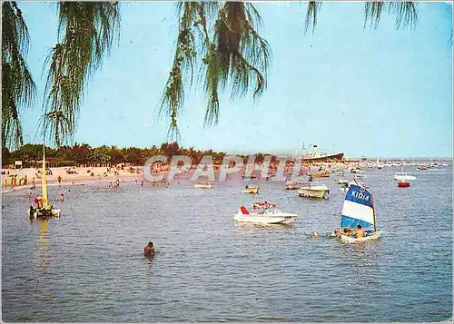 Cartes postales moderne Lagos Tarkwa Beach