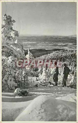 Cartes postales Norvege Ski