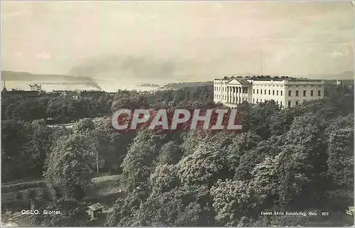 Cartes postales Oslo Slottet