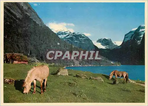 Cartes postales Norway From Loenvann