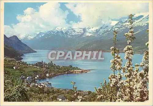 Cartes postales Norway Sorfjorden Hardanger Ullensvang facing Folgefonnen glacier