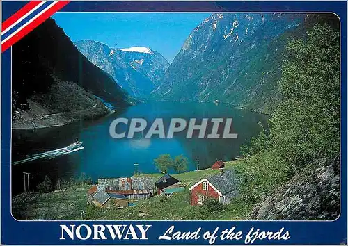 Cartes postales moderne Norge Gudvangen Naeroyfjorden