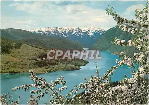 Moderne Karte Norway View of the Ulvik fjord Hardanger