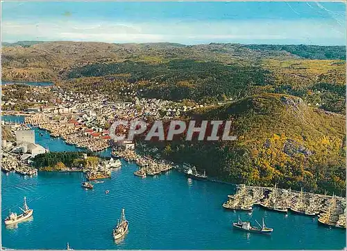 Cartes postales moderne Norway Fishing boats in harbour