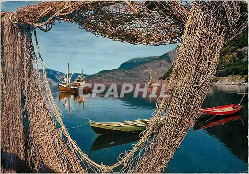 Cartes postales moderne Veien Revsnes Laerdal
