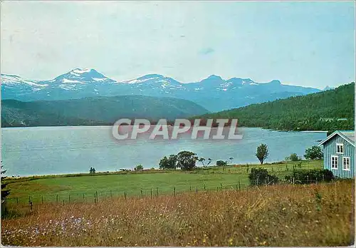 Cartes postales moderne Fra Sagvassdalen Hamaroy Nordland