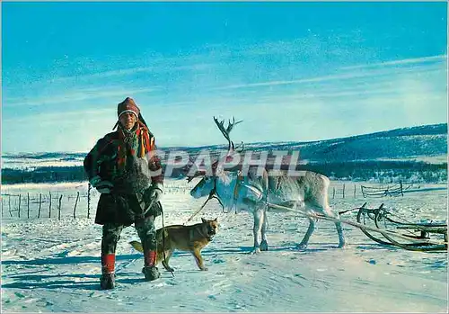 Moderne Karte Norway Lapp with his reindeer Folklore