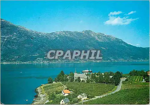 Cartes postales moderne Norway Lofthys Hardanger