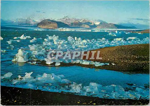 Cartes postales moderne The Kings bay at the time of the midnight sun
