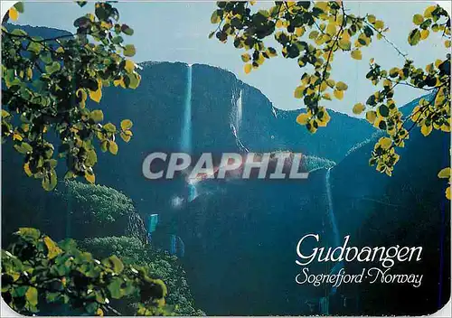 Cartes postales moderne Gudvangen Sognefjord Norway