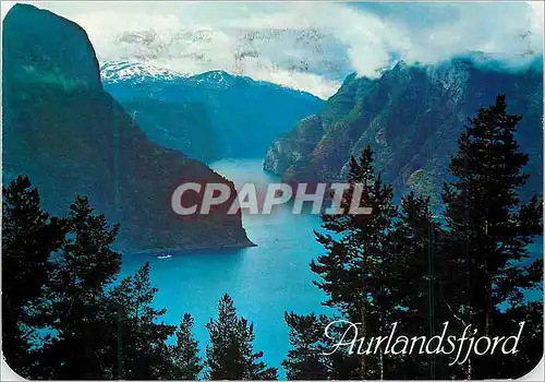 Cartes postales moderne Aurlandsfjord Norway