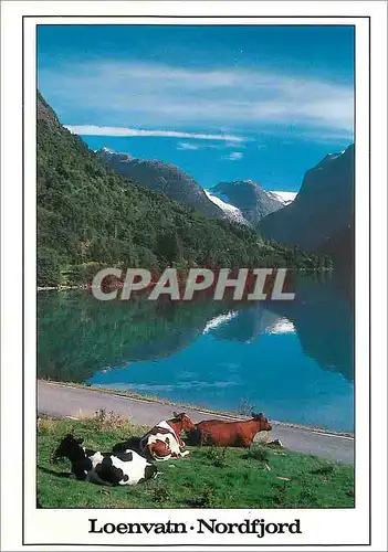 Cartes postales moderne Norge Loenvatn