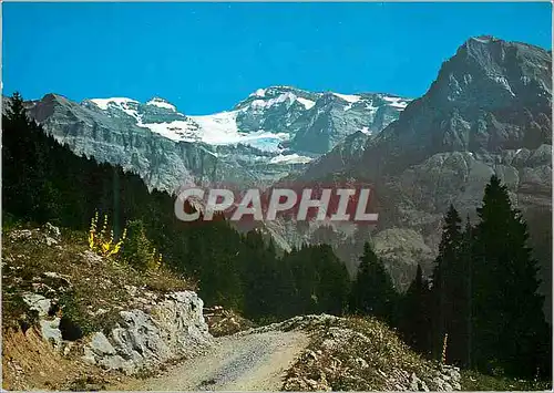 Cartes postales moderne Champery Route de Planacheur Tour Salliere