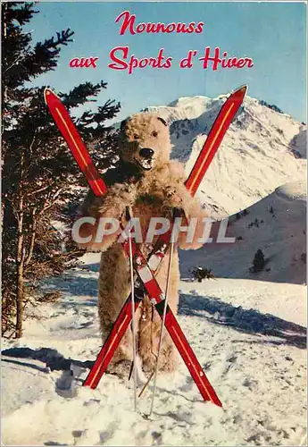Cartes postales moderne Nounouss aux Sports d Hiver Ours