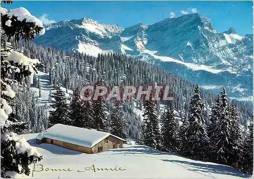 Cartes postales moderne Bonne Annee