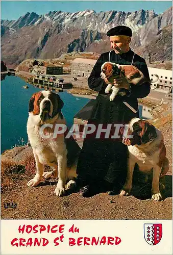 Cartes postales moderne Grand Saint Bernard Chanoine et Chiens de l Hospice Chiens