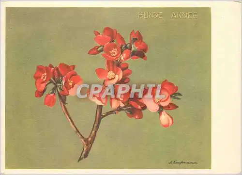 Cartes postales moderne Bonne annee