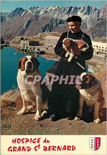 Cartes postales moderne Grand Saint Bernard Chanoine et Chiens de l Hospice Chiens