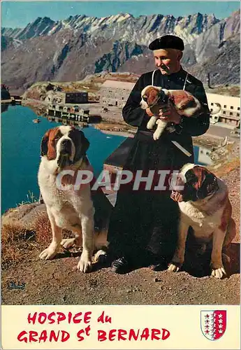 Moderne Karte Grand Saint Bernard Chanoine et Chiens de l Hospice Chiens