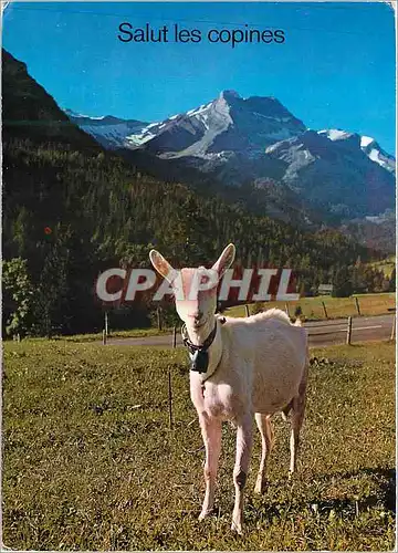 Cartes postales moderne Sur l alpe