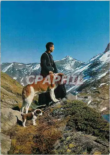 Cartes postales moderne Col du Grand Saint Bernard Un chanoine avec le chien Barry et son petit chiot Chiens