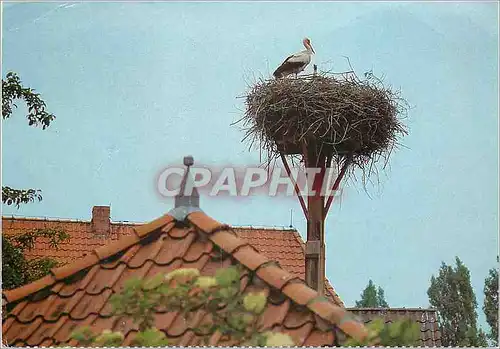 Moderne Karte Eine Reise wert Wendland Cigogne