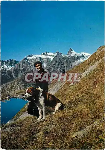 Cartes postales moderne Col du Grand Saint Bernard Un chanoine avec le chien Barry au fond le Pain de Sucre