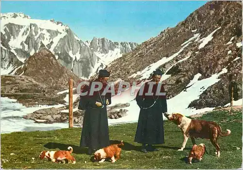 Cartes postales moderne St Bernards monks and dogs Chiens
