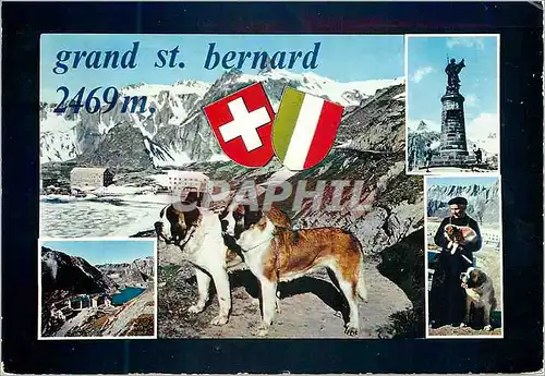 Moderne Karte Grand St Bernard Chien