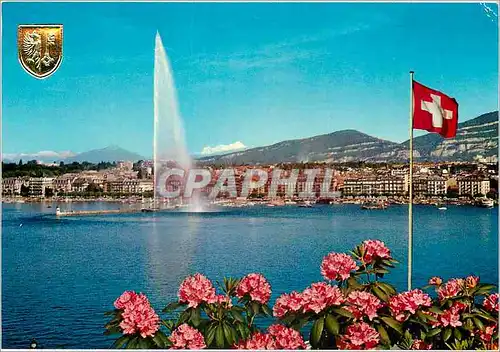 Cartes postales moderne Geneve La rade et le Mont Blanc