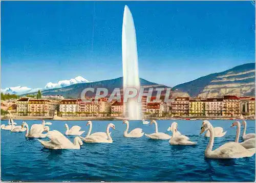 Moderne Karte Geneve Le jet d eau et le Mont Blanc Cygnes