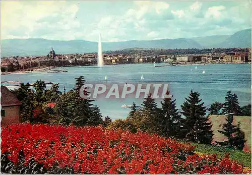 Moderne Karte Geneve Vue generale depuis le coteau de Cologny