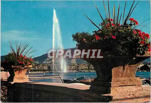 Cartes postales moderne Geneve Le jet d eau