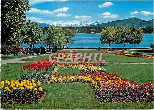 Cartes postales moderne Geneve Parc Mon Repos Mt Blanc et les Alpes
