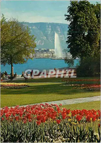 Cartes postales moderne Geneve Le parc Mon repos et le jet d eau