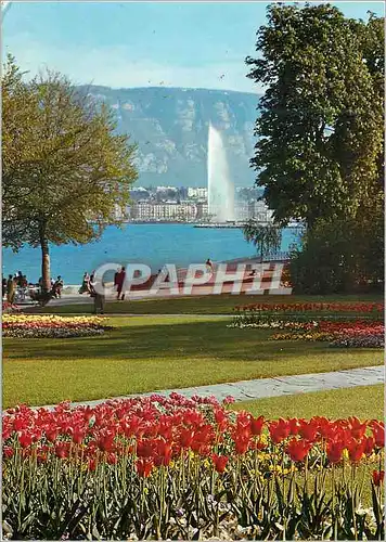 Cartes postales moderne Geneve Le parc Mon Repos et le jet d eau