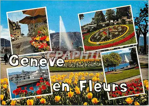 Moderne Karte Geneve en fleurs