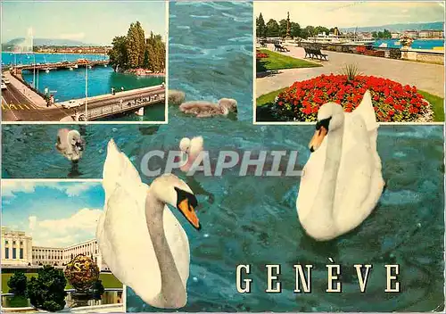 Moderne Karte Geneve L lle Rousseau et le jet d eau Quai Gustave Ador