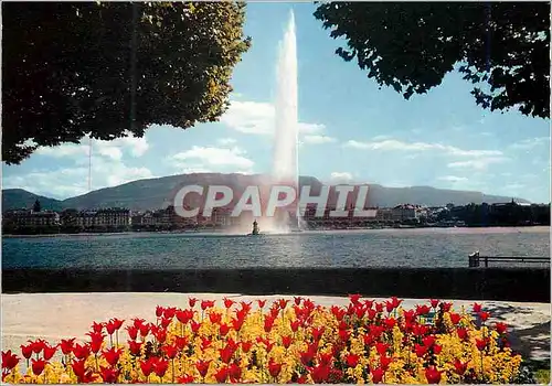 Cartes postales moderne Geneve Le jet d eau