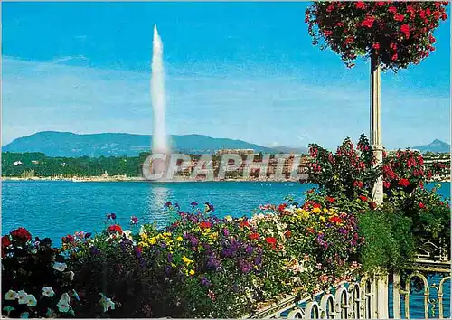 Cartes postales moderne Geneve Le jet d eau