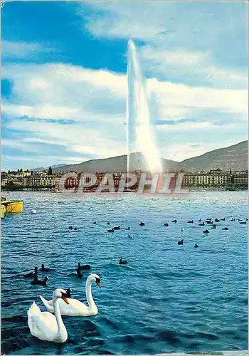 Cartes postales moderne Geneve Le jet d eau et les cygnes