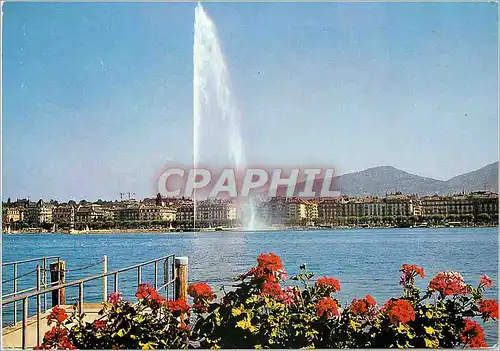 Cartes postales moderne Geneve Le jet d eau