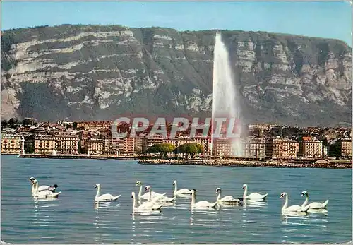 Cartes postales moderne Geneve Le jet d eau et le Saleve