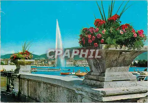 Cartes postales moderne Geneve Le jet d eau