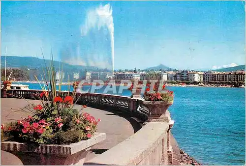 Cartes postales moderne Geneve Le Jet d eau et le Mont Blanc