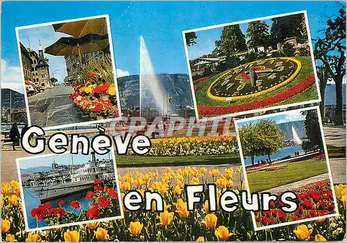 Moderne Karte Geneve en fleurs